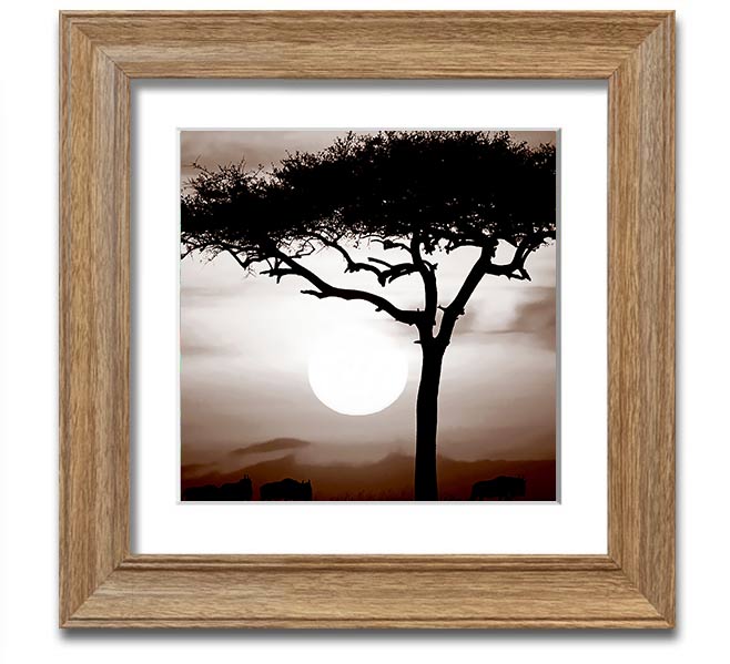 African Safari Brown Square Framed Print with multiple frame color options, showcasing a vibrant safari landscape.