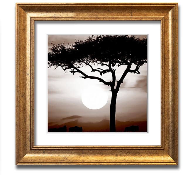 African Safari Brown Square Framed Print with multiple frame color options, showcasing a vibrant safari landscape.
