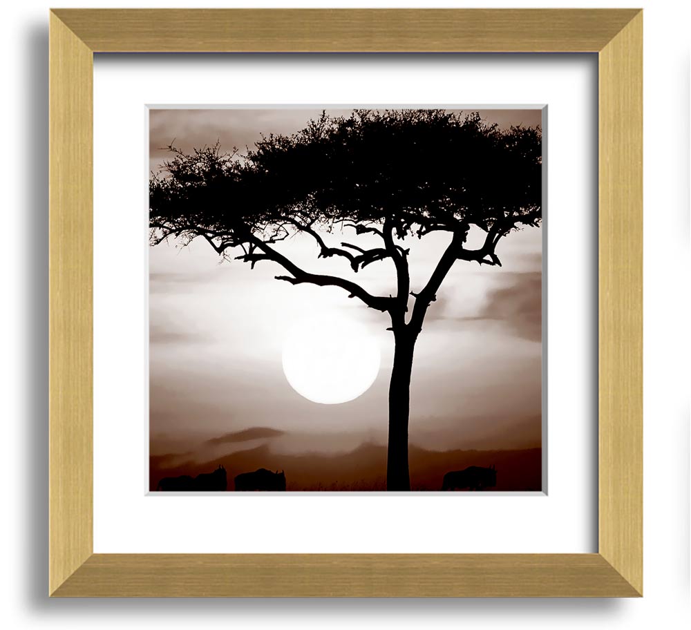 African Safari Brown Square Framed Print with multiple frame color options, showcasing a vibrant safari landscape.