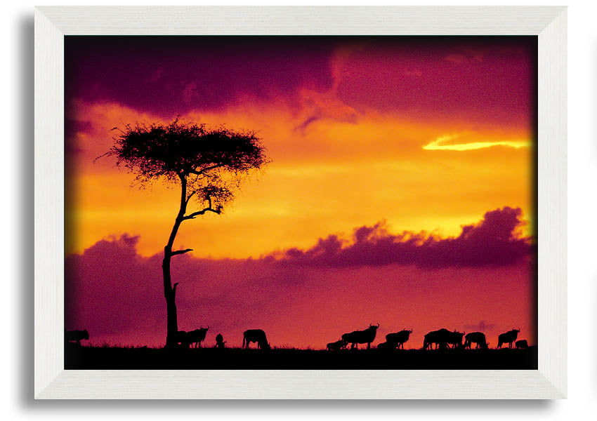 A beautifully framed print of an African sunset, showcasing vibrant colors and serene landscapes, ready to hang on the wall.