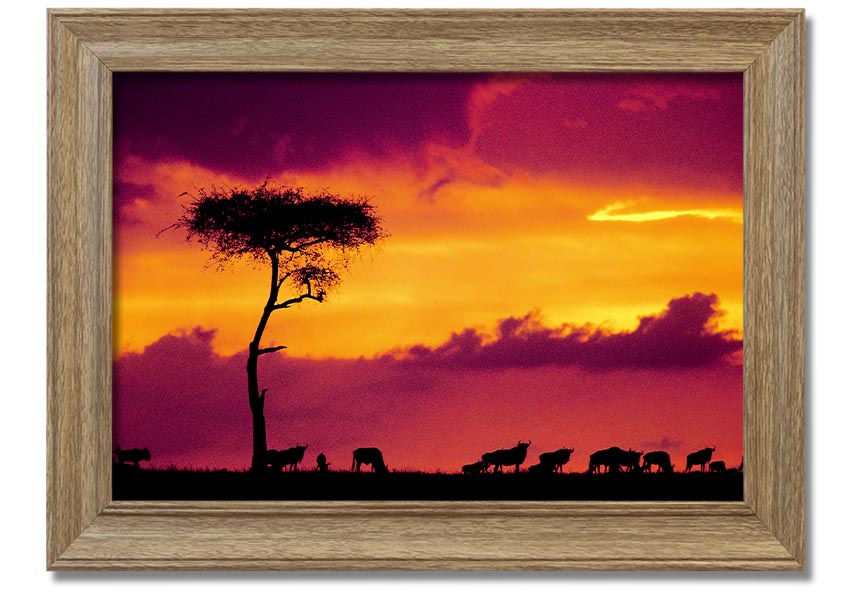A beautifully framed print of an African sunset, showcasing vibrant colors and serene landscapes, ready to hang on the wall.