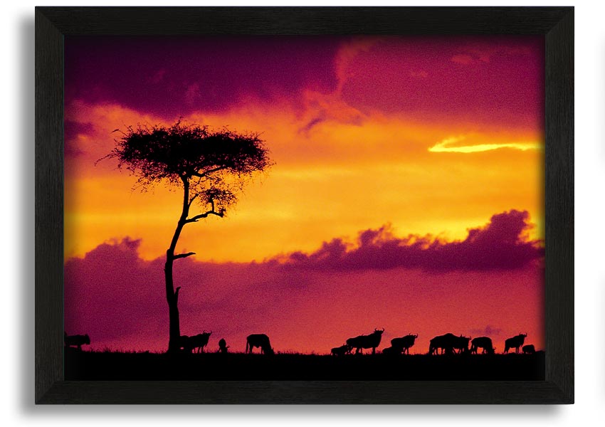 A beautifully framed print of an African sunset, showcasing vibrant colors and serene landscapes, ready to hang on the wall.