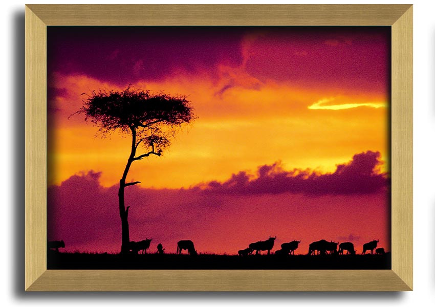 A beautifully framed print of an African sunset, showcasing vibrant colors and serene landscapes, ready to hang on the wall.