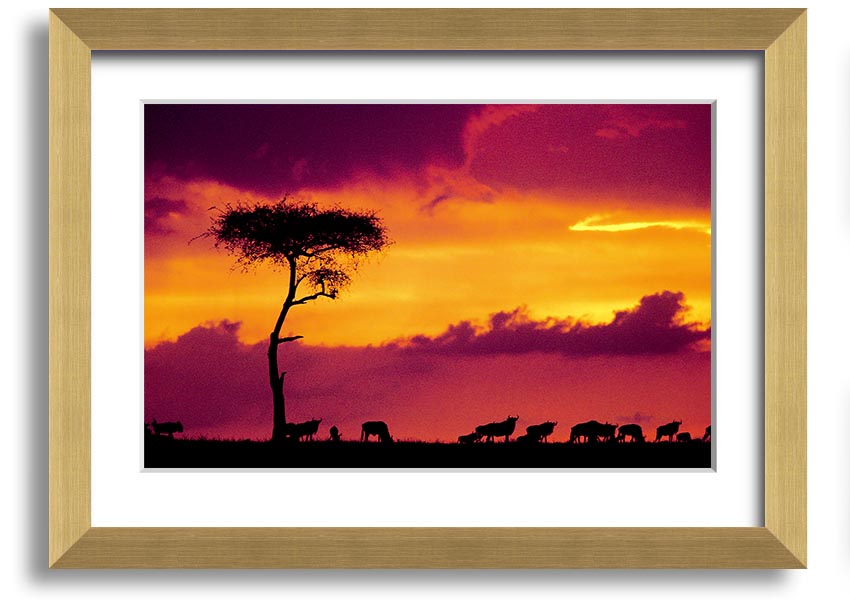A beautifully framed print of an African sunset, showcasing vibrant colors and serene landscapes, ready to hang on the wall.