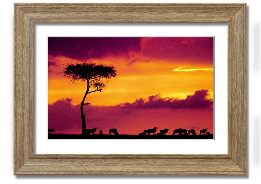 A beautifully framed print of an African sunset, showcasing vibrant colors and serene landscapes, ready to hang on the wall.