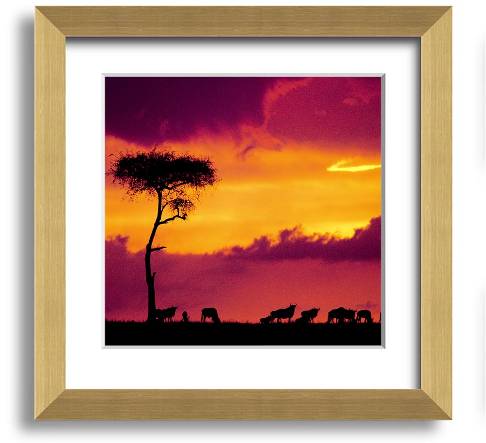 A beautifully framed print of an African sunset, showcasing vibrant colors and serene landscapes, ready to hang.