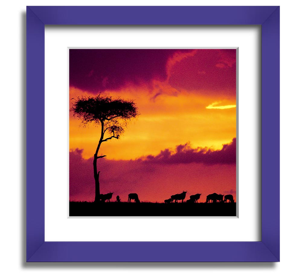 A beautifully framed print of an African sunset, showcasing vibrant colors and serene landscapes, ready to hang.