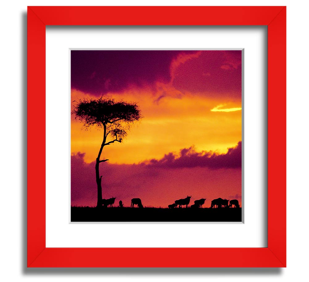 A beautifully framed print of an African sunset, showcasing vibrant colors and serene landscapes, ready to hang.