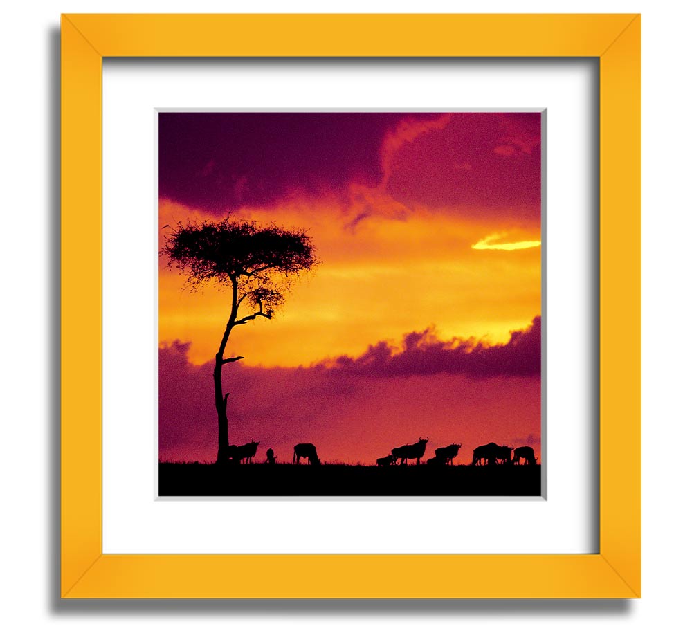 A beautifully framed print of an African sunset, showcasing vibrant colors and serene landscapes, ready to hang.