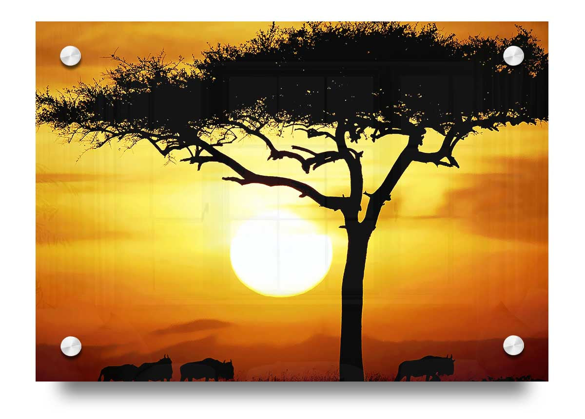 Acrylic print of an African safari tree illuminated by sunlight, showcasing vibrant colors and intricate details.