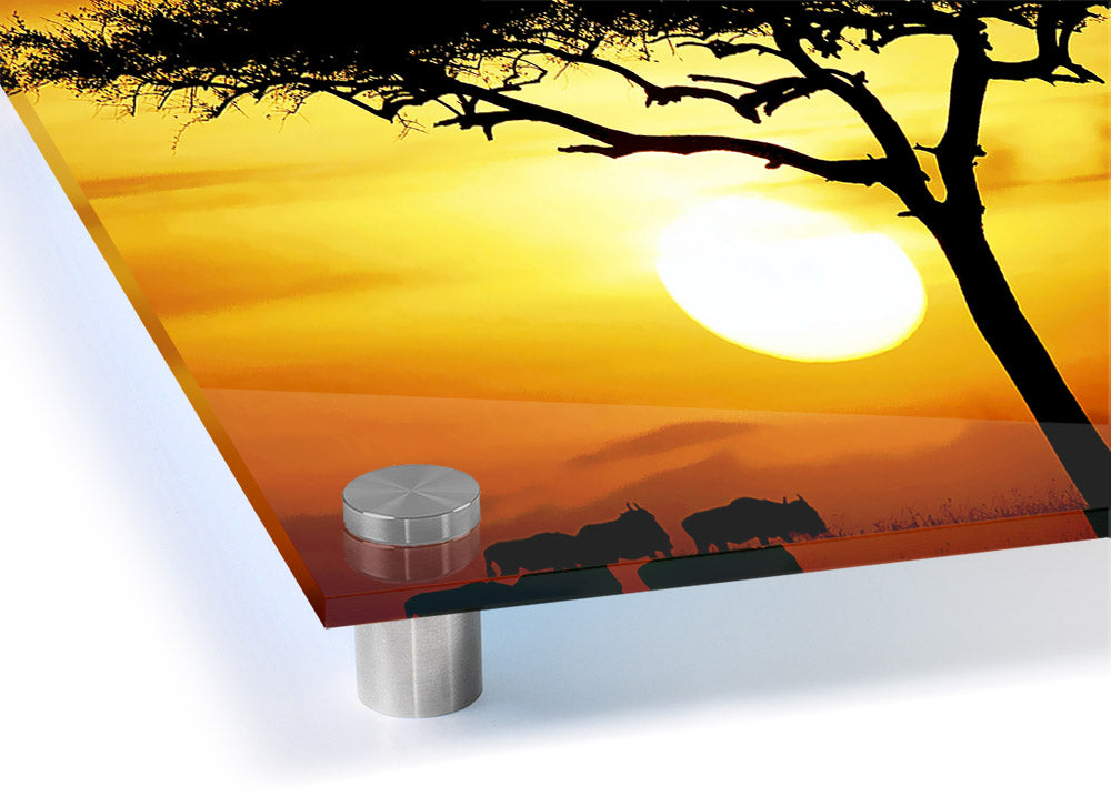 Acrylic print of an African safari tree illuminated by sunlight, showcasing vibrant colors and intricate details.