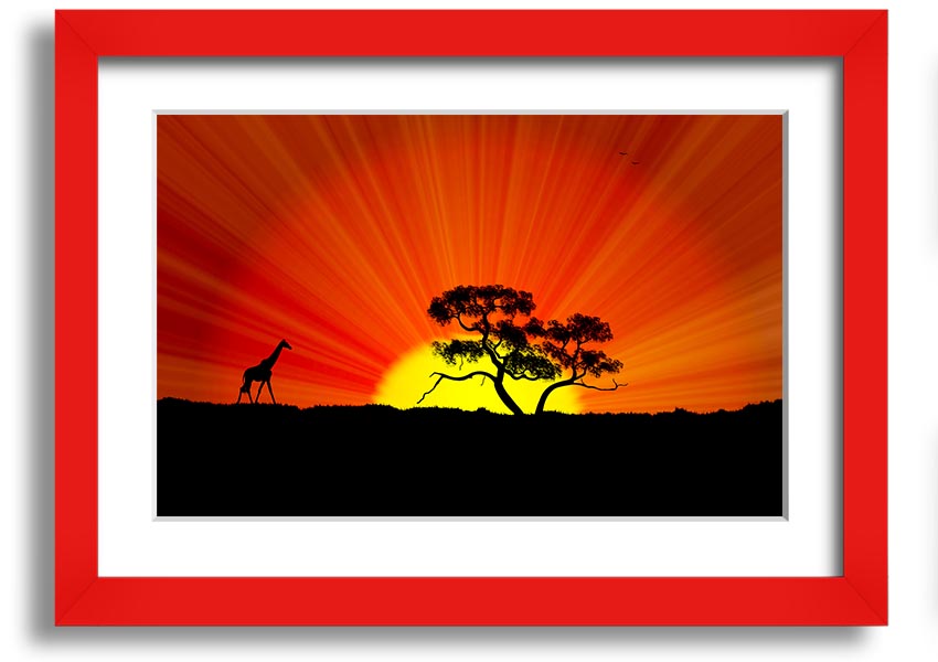 A vibrant African Sunblaze framed print showcasing rich colors and intricate designs, ready to hang.