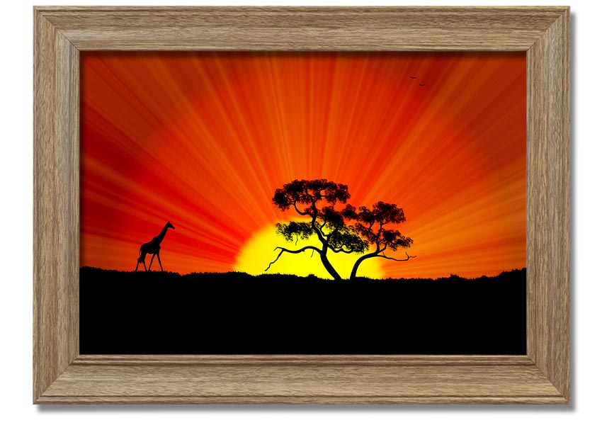 A vibrant African Sunblaze framed print showcasing rich colors and intricate designs, ready to hang.
