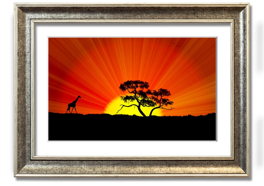 A vibrant African Sunblaze framed print showcasing rich colors and intricate designs, ready to hang.