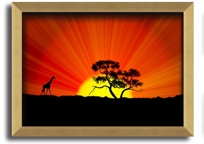 A vibrant African Sunblaze framed print showcasing rich colors and intricate designs, ready to hang.