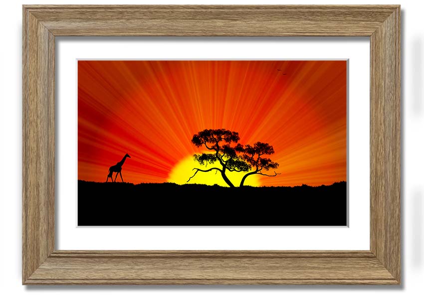 A vibrant African Sunblaze framed print showcasing rich colors and intricate designs, ready to hang.