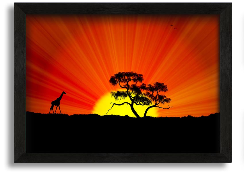A vibrant African Sunblaze framed print showcasing rich colors and intricate designs, ready to hang.