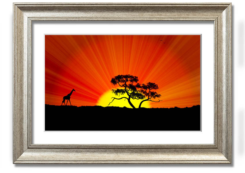 A vibrant African Sunblaze framed print showcasing rich colors and intricate designs, ready to hang.