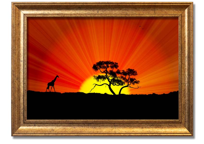 A vibrant African Sunblaze framed print showcasing rich colors and intricate designs, ready to hang.