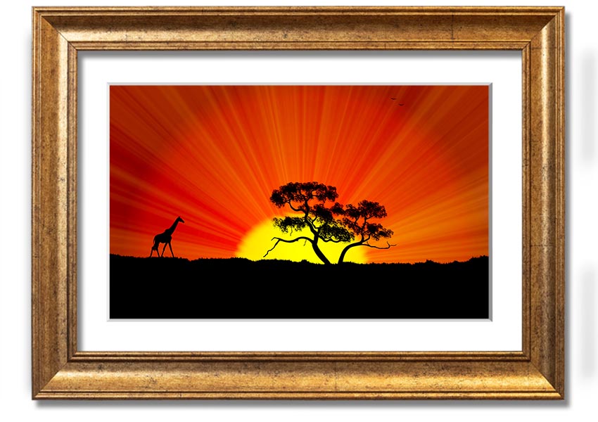 A vibrant African Sunblaze framed print showcasing rich colors and intricate designs, ready to hang.