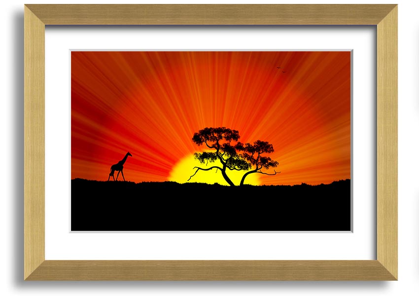 A vibrant African Sunblaze framed print showcasing rich colors and intricate designs, ready to hang.