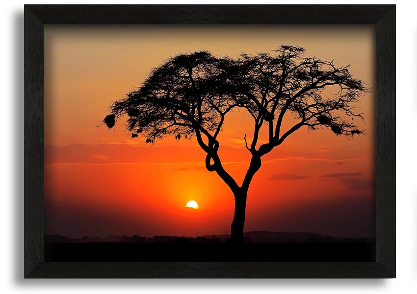 A beautifully framed print of an African sunset, showcasing vibrant colors and serene landscapes, ready to hang.