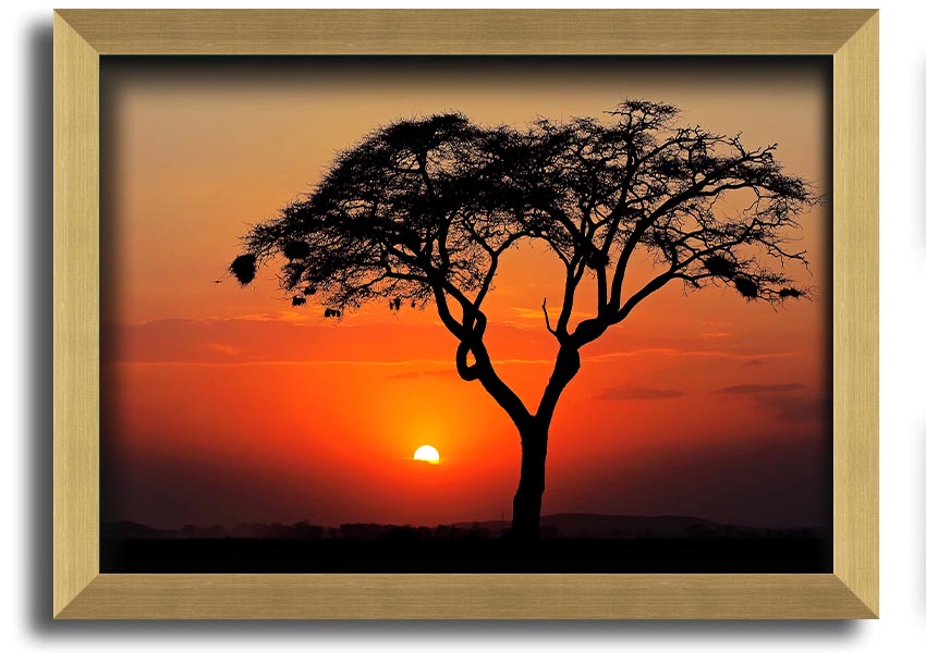 A beautifully framed print of an African sunset, showcasing vibrant colors and serene landscapes, ready to hang.