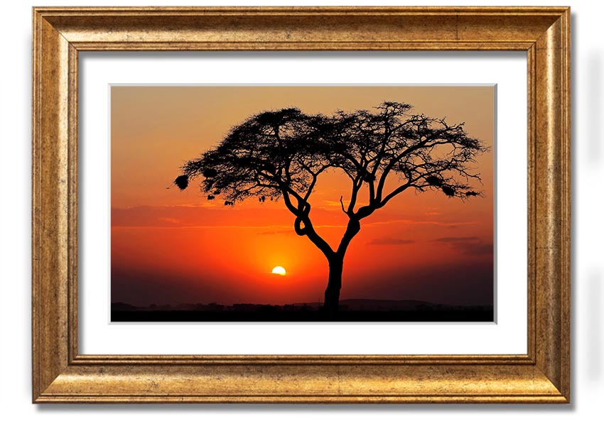 A beautifully framed print of an African sunset, showcasing vibrant colors and serene landscapes, ready to hang.