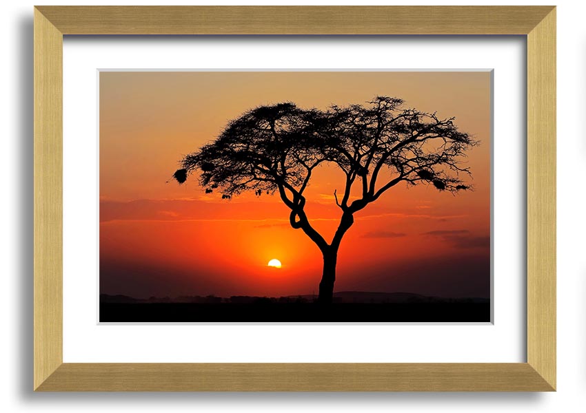 A beautifully framed print of an African sunset, showcasing vibrant colors and serene landscapes, ready to hang.