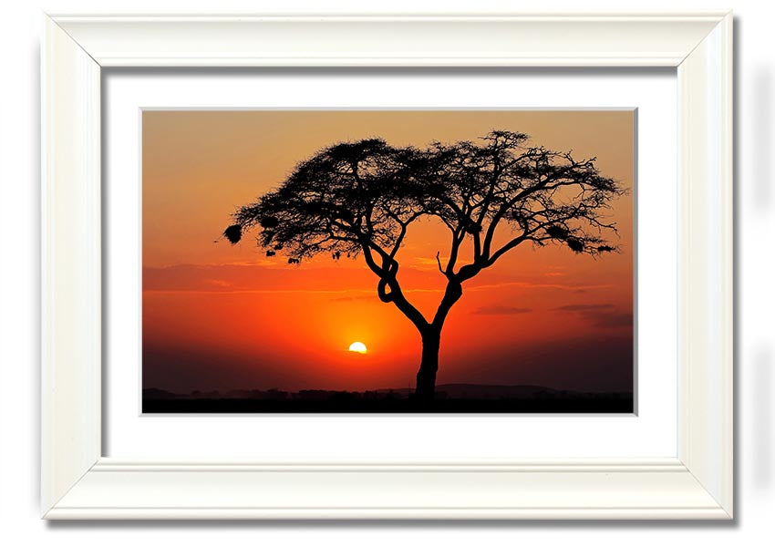A beautifully framed print of an African sunset, showcasing vibrant colors and serene landscapes, ready to hang.