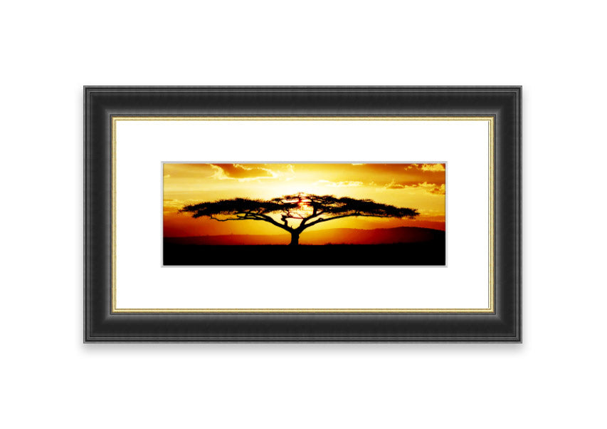 Framed print of an African tree at sunset, showcasing vibrant colors and a serene landscape.