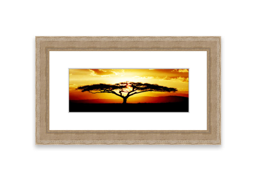 Framed print of an African tree at sunset, showcasing vibrant colors and a serene landscape.