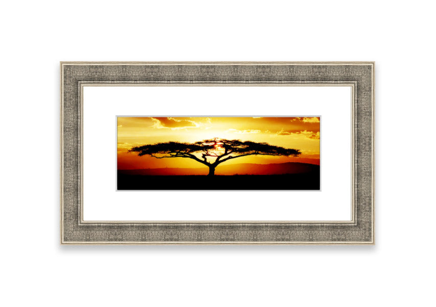 Framed print of an African tree at sunset, showcasing vibrant colors and a serene landscape.