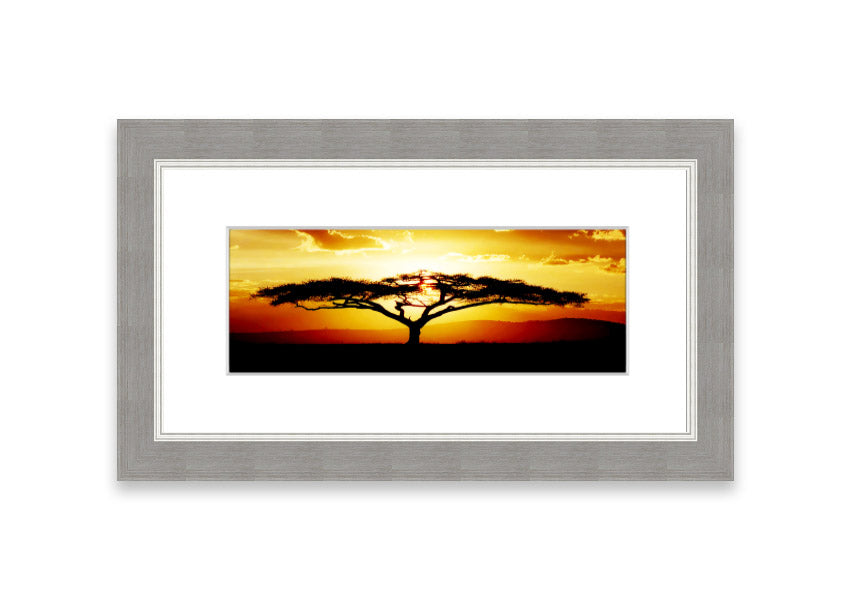 Framed print of an African tree at sunset, showcasing vibrant colors and a serene landscape.