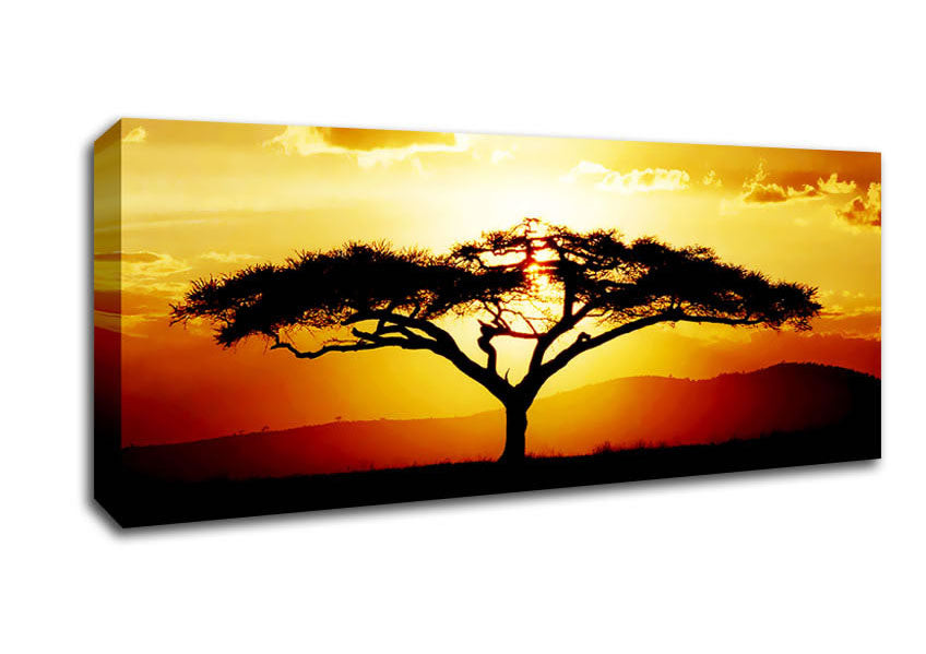 Canvas art featuring an African tree silhouetted against a vibrant sunset, mounted on a box frame.