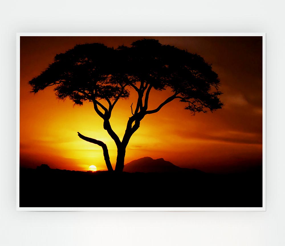 A beautiful canvas poster of an African tree illuminated by golden sunlight, showcasing vibrant colors and intricate details.