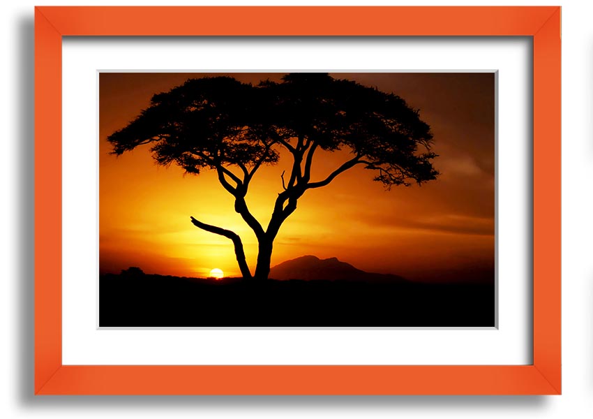 Framed print of an African tree illuminated by golden sunlight, showcasing vibrant colors and intricate details.