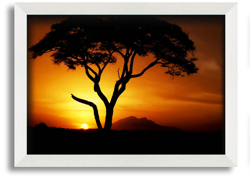 Framed print of an African tree illuminated by golden sunlight, showcasing vibrant colors and intricate details.