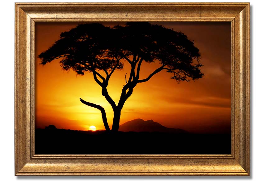 Framed print of an African tree illuminated by golden sunlight, showcasing vibrant colors and intricate details.