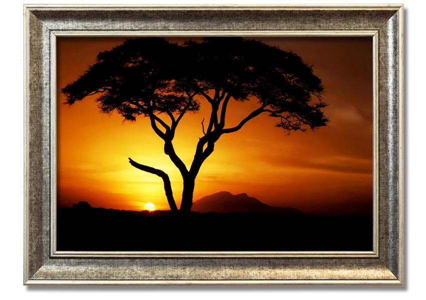 Framed print of an African tree illuminated by golden sunlight, showcasing vibrant colors and intricate details.