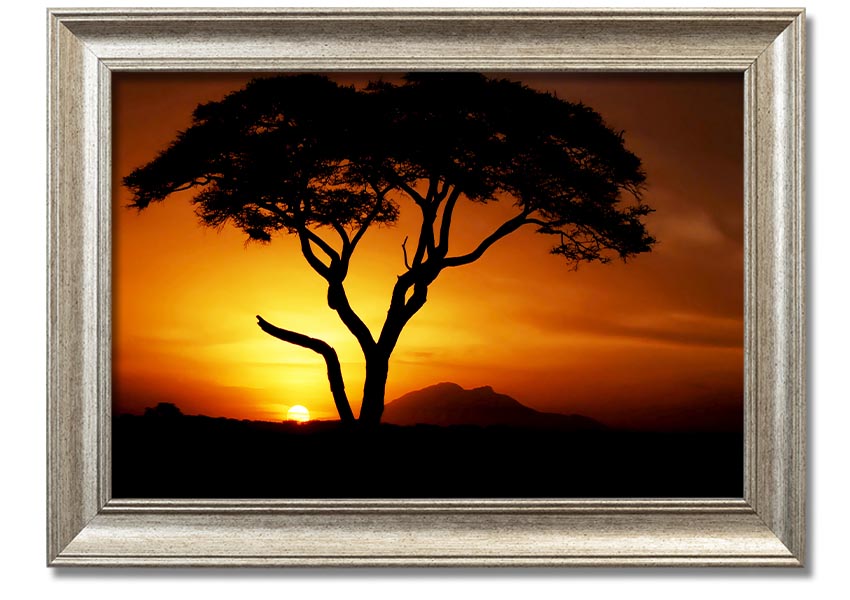 Framed print of an African tree illuminated by golden sunlight, showcasing vibrant colors and intricate details.