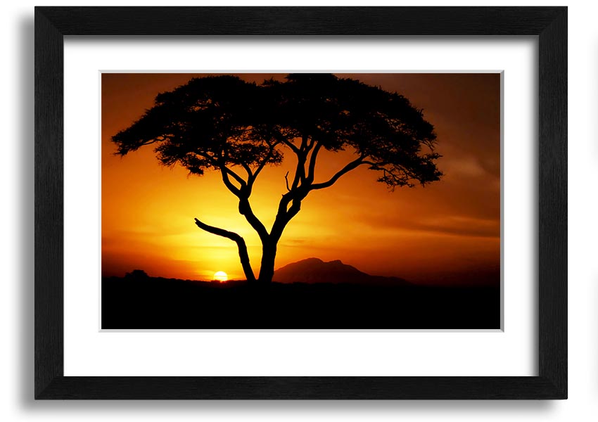 Framed print of an African tree illuminated by golden sunlight, showcasing vibrant colors and intricate details.