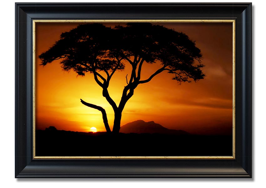 Framed print of an African tree illuminated by golden sunlight, showcasing vibrant colors and intricate details.