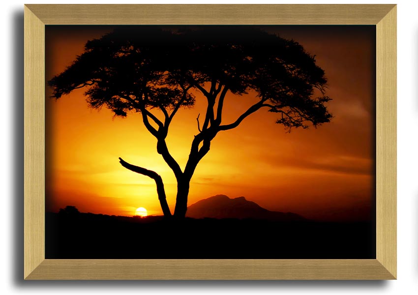 Framed print of an African tree illuminated by golden sunlight, showcasing vibrant colors and intricate details.