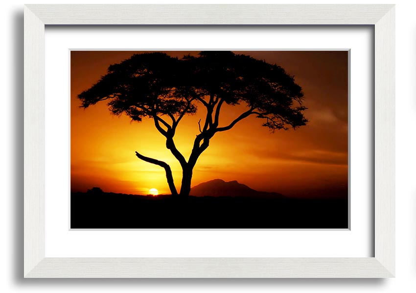 Framed print of an African tree illuminated by golden sunlight, showcasing vibrant colors and intricate details.