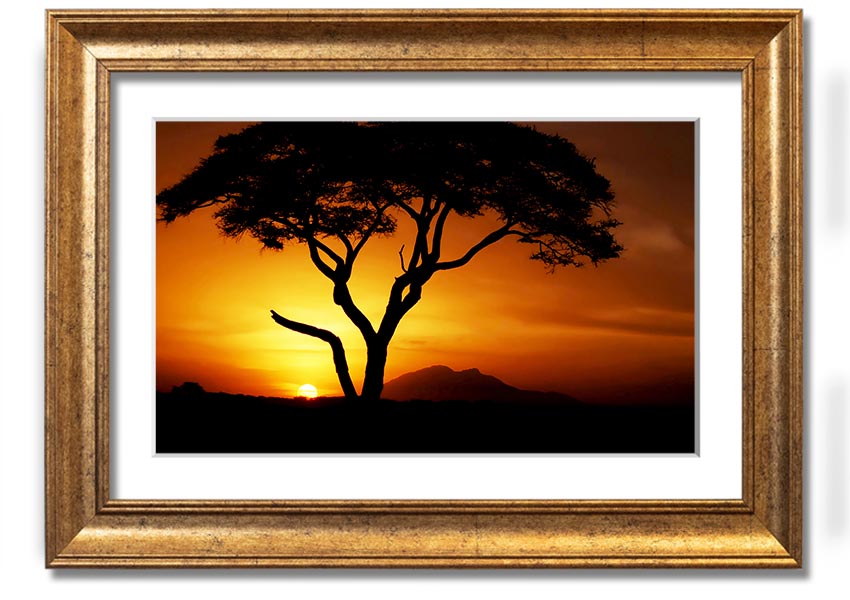 Framed print of an African tree illuminated by golden sunlight, showcasing vibrant colors and intricate details.