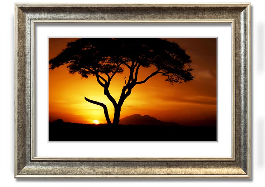 Framed print of an African tree illuminated by golden sunlight, showcasing vibrant colors and intricate details.