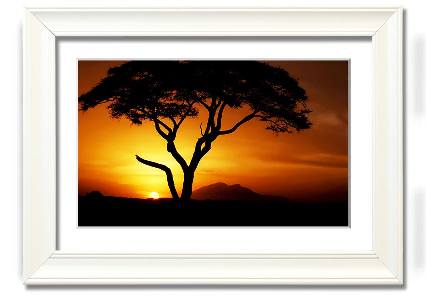 Framed print of an African tree illuminated by golden sunlight, showcasing vibrant colors and intricate details.