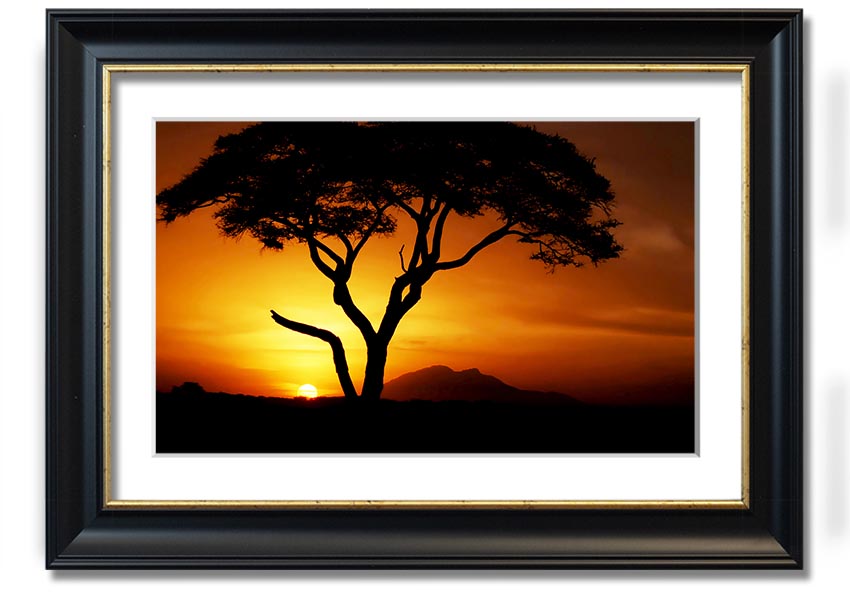 Framed print of an African tree illuminated by golden sunlight, showcasing vibrant colors and intricate details.
