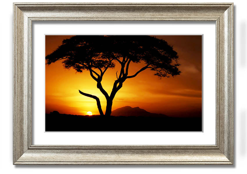 Framed print of an African tree illuminated by golden sunlight, showcasing vibrant colors and intricate details.